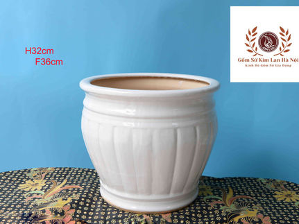 mua chậu sứ trồng cây cảnh ở hà nội