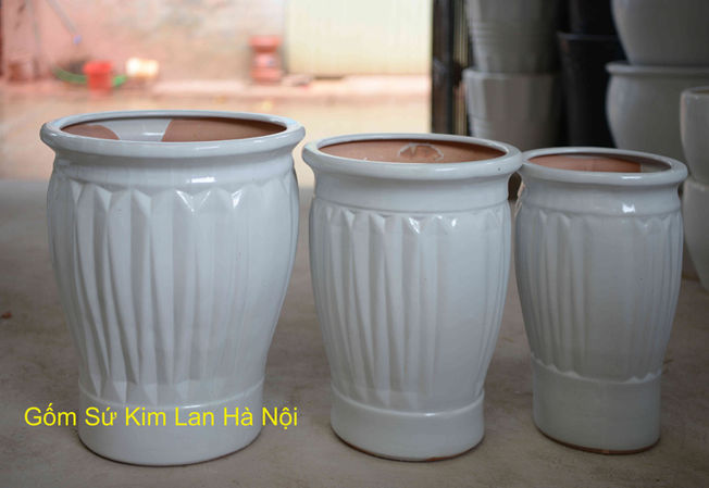 chậu-sứ-trồng-cây