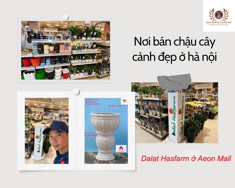 Dalat Hasfarm ở Aeon Mall Hanoi - Trung tâm thương mại