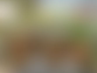 Chậu Trứng Kim Cương Xi Măng Nhẹ Kim Lan Hà Nội: Sự Kết Hợp Hoàn Hảo Giữa Vẻ Đẹp và Chất Lượng