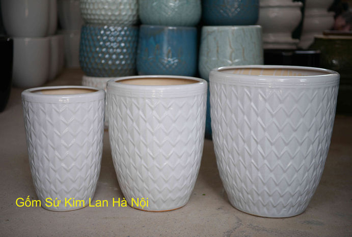chậu-trồng-cây-cảnh
