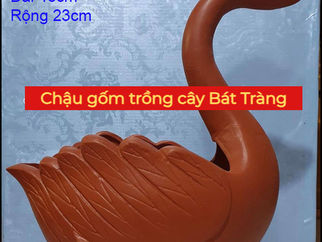 Chậu Gốm Trồng Cây Bát Tràng | Gốm Sứ Kim Lan Hà Nội