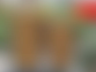 Đạn Vân Sóng Xi Măng Nhẹ Kim Lan Hà Nội