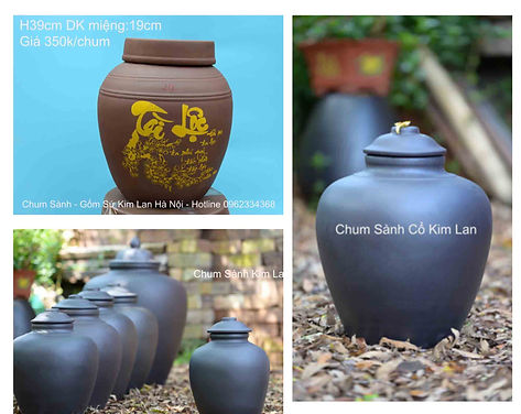 gia-chum-sanh-ngam-ruou-20l