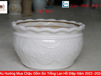 Xu Hướng Mua Chậu Gốm Sứ Trồng Lan Hồ Điệp Năm 2023 -2024 | Gốm Sứ Kim Lan Hà Nội