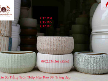 he vertical striped ceramic pot for planting orchids.