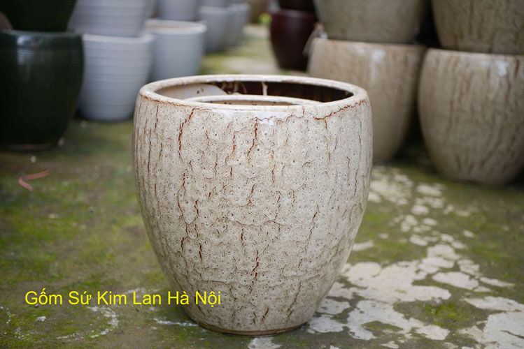 Bán sỉ chậu sứ trồng cây