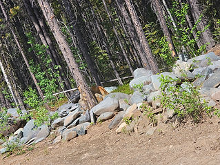 A pile of stones.