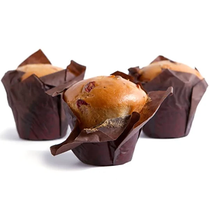 Cranberry Muffin