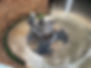 IMG_1849.jpeg