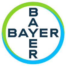 bayer logo.png