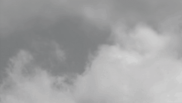 ezgif.com-reverse.gif