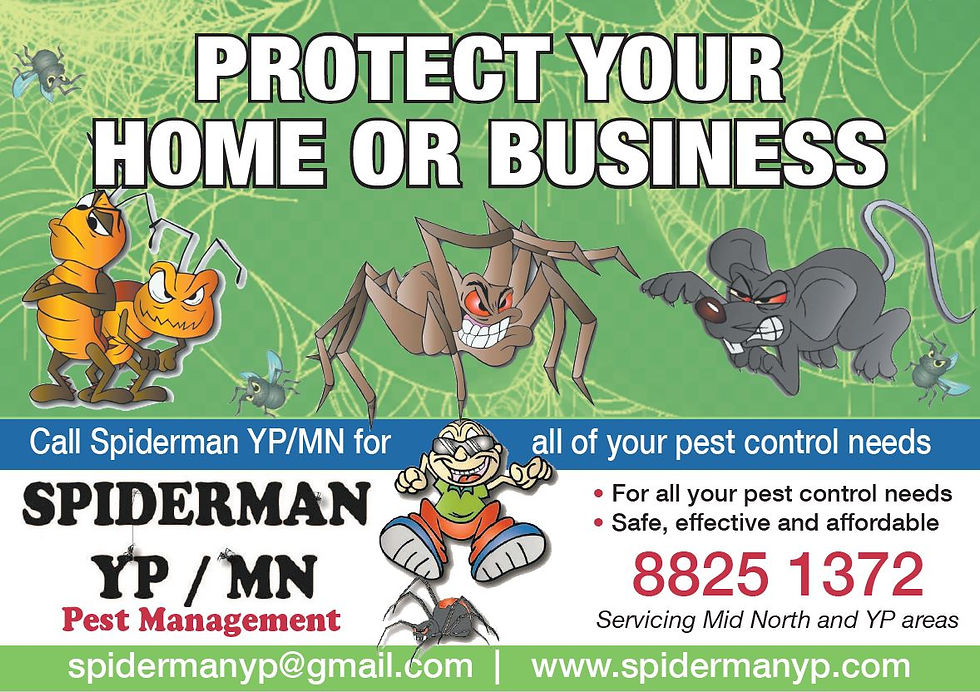 protect your home