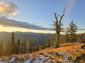 SRRAC Submits Expert Evidence on Asbestos and Other Dust from Record Ridge Mine, Calls for Permitting Halt