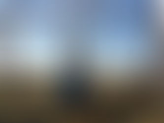 Сегодня сотрудники ДИМЦКиТ"Сибирский тракт" побывали у "Братской могилы красноармейце