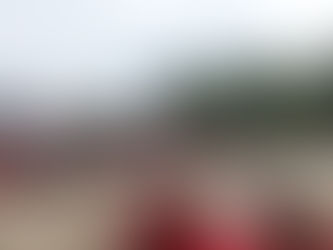 12 июня наши соседи-жители Частинского района Пермского края отмечали двойной праздник -День России 