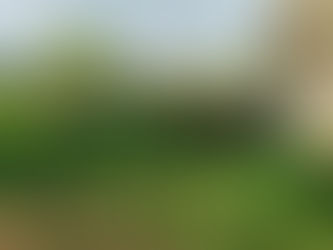 Концерт в деревене Старый Зяногурт