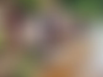 Свадьба по-дебёсски для туристов
   Тридцатилетний   свадебный юбилей  супружеская пара из г. Ижевск