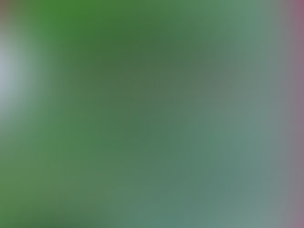 В РДК "Юность" пос.Ува 25 ноября 2017 года прошел I республиканский фестиваль имени П.Н.Ку