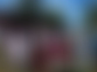 На улице жара, но это не мешает туристам посещать Дебёсскую землю. Сегодня мы встречаем гостей из Пе