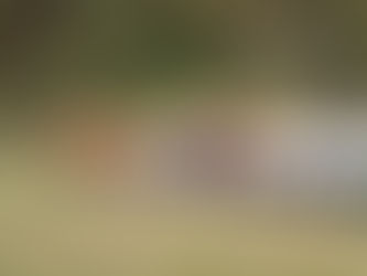 Отдых на природе, оформление биваков, невероятный пейзаж урочища Куиньсэрго и азарт соревнований-все