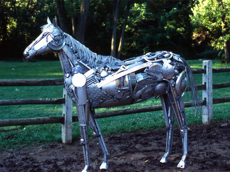 В рамках II межрегионального фестиваля "Конный биатлон", который состоится 8 июня 2019 год