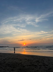 IMG_8924.jpg