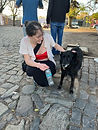 IMG-8937.JPG