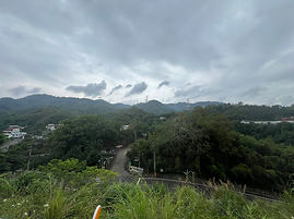 IMG_9336.jpg