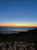 IMG_1141.jpg