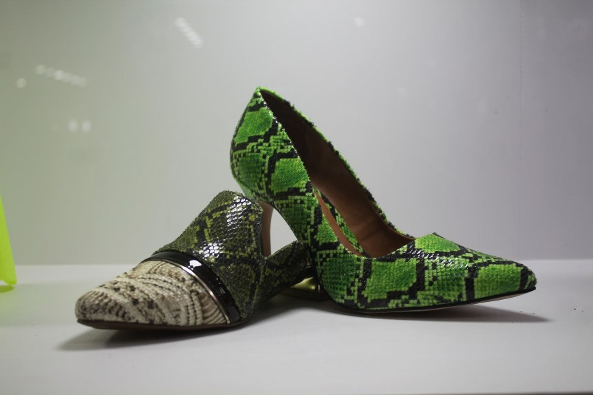 sapatos estampados snake