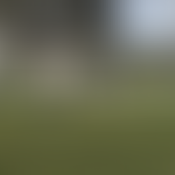 EUROPEAN SCHOOL CULHAM INTERYEAR 2015