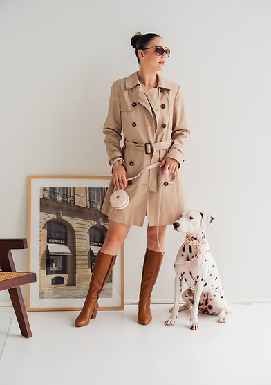 Rosé Élégance Collection