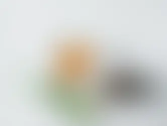 Pequeños hábitos, grandes resultados ✨