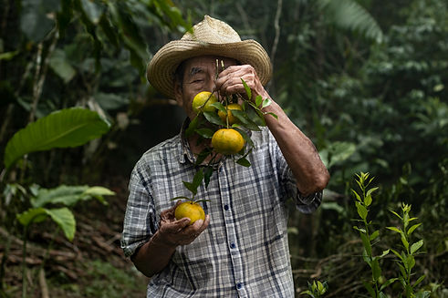 veracruz(1).jpg