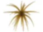 Thumbnail: Baby 8 Porcupine Balls