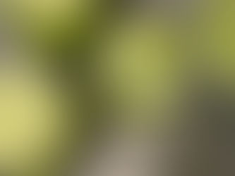 Restoring Energy After A Busy Stretch