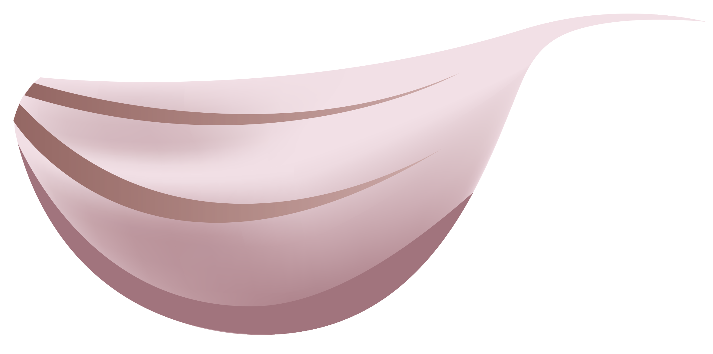 garlic.png