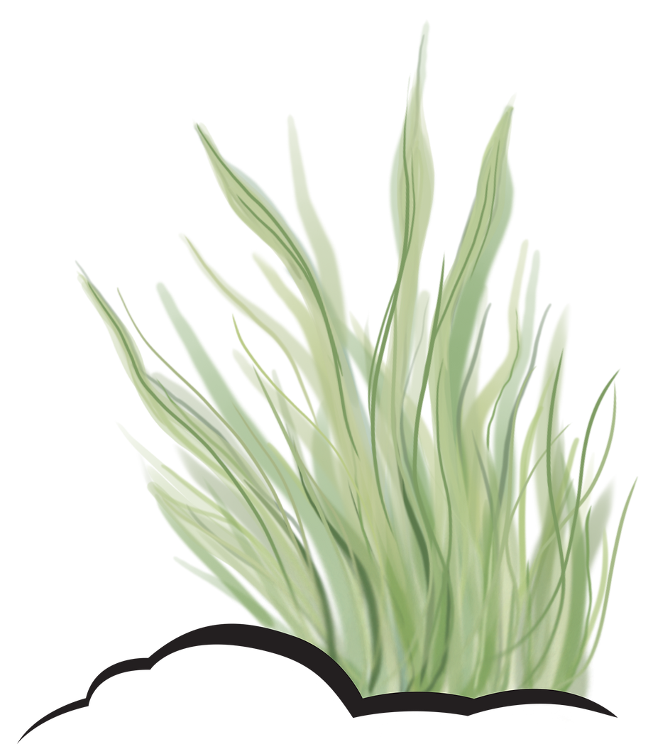grass.png