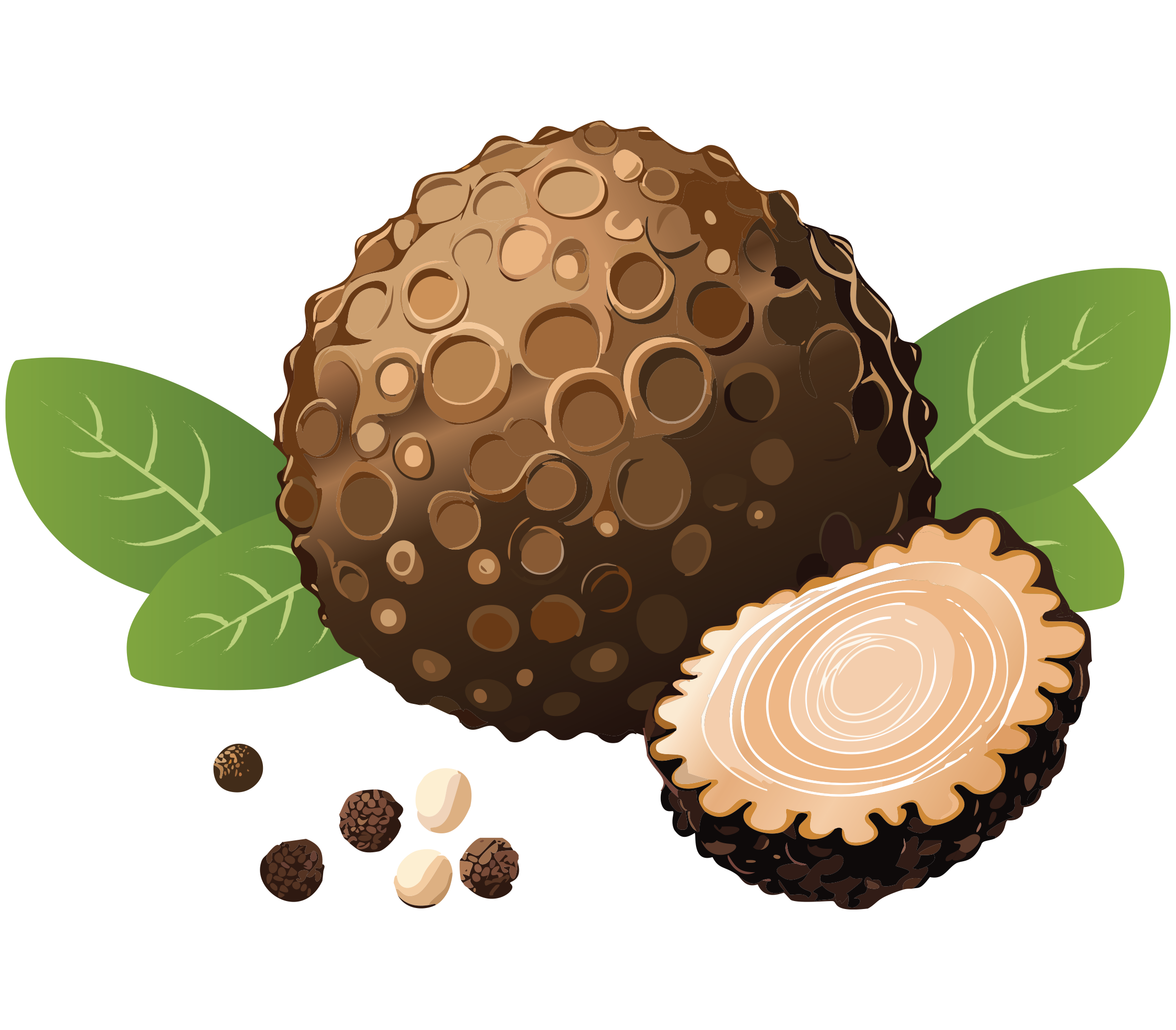 truffle.png