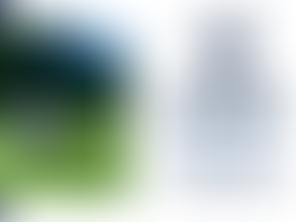 Grimmett Club Golf Day