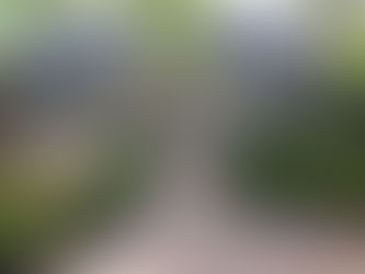 Call Bluegrass Incorporated to Reimagine Your Outdoors with a Spring Yard Cleanup & Custom Landscaping