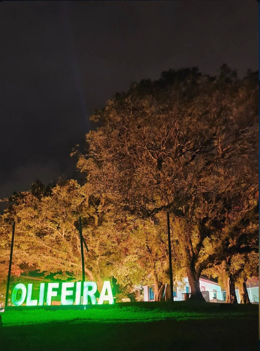 Preview da 5ª Olifeira marca lançamento oficial da maior feira da olivicultura da América Latina