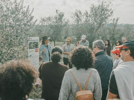 Olivoturismo na Olivas da Lua: uma nova experiência que impulsiona o desenvolvimento do turismo na cidade de Encruzilhada do Sul