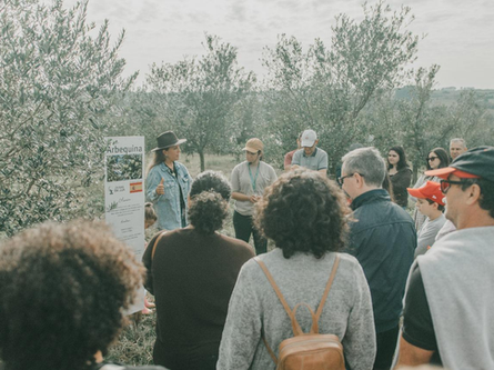 Olivoturismo na Olivas da Lua: uma nova experiência que impulsiona o desenvolvimento do turismo na cidade de Encruzilhada do Sul