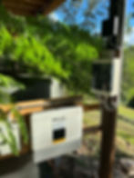 Solar inverter labeled "SOLAX Power" mounted outdoors near lush ferns. Sunny day with trees and blue sky in the background.