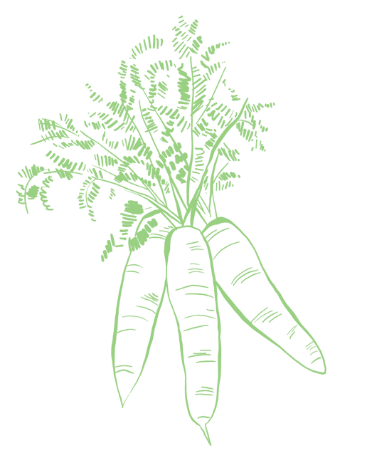 Untitled design (51).png