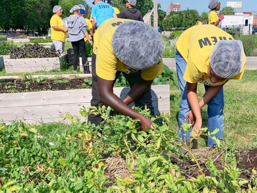 Urban Farm Helps Students with Autism