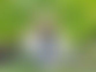 How to Choose the Best Front Door for Your Tampa Home