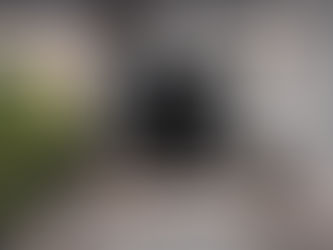 Exterior Door Design Trends 2024